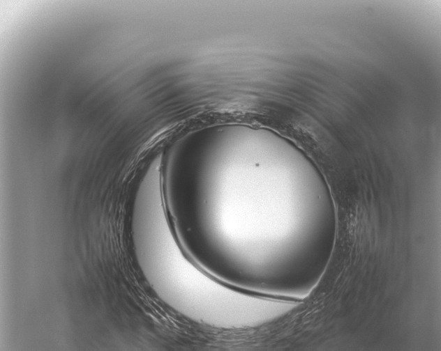 X0000059250968200510211624