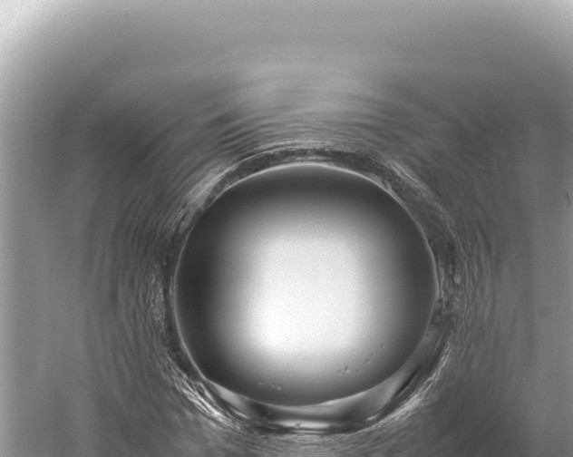 X0000059250969200510211624