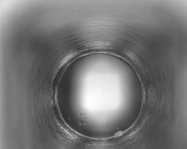 X0000059250970200510211624