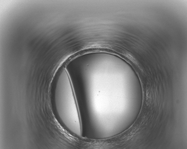 X0000059250972200510211624