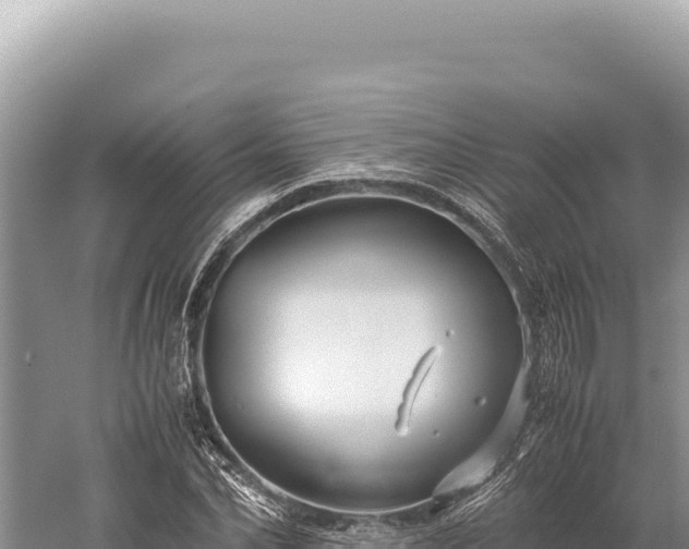 X0000059250974200510211624