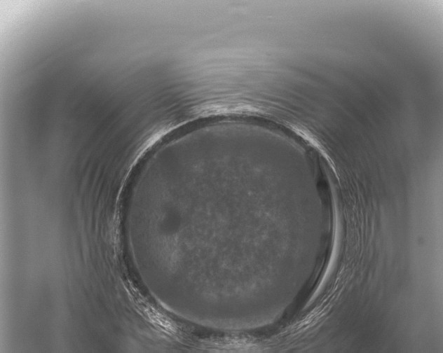 X0000059250975200510211624