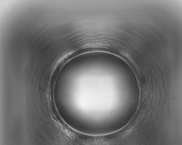 X0000059250979200510211624