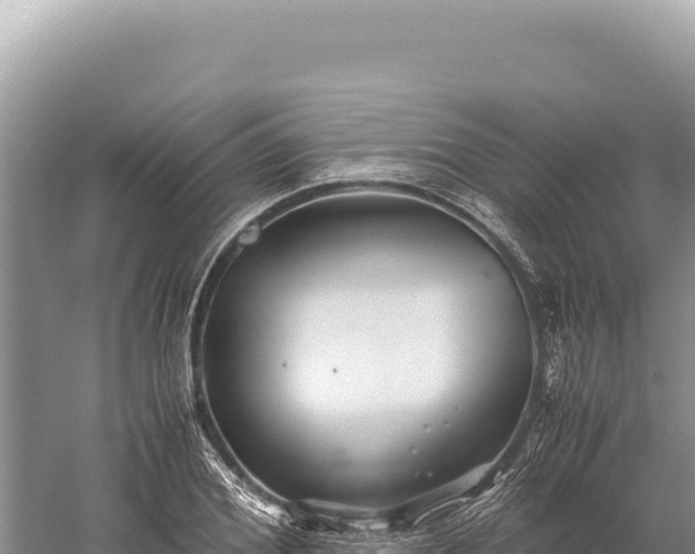 X0000059250980200510211624