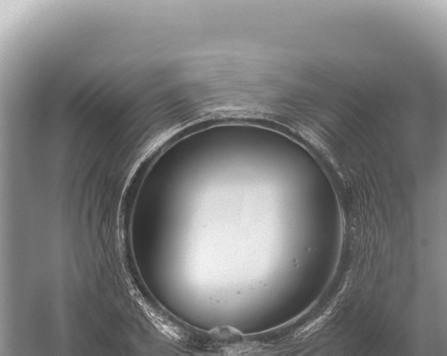 X0000059250981200510211624