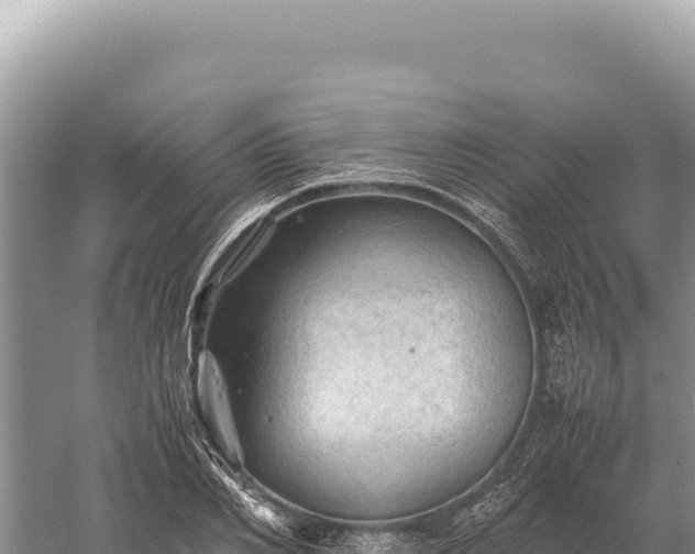 X0000059250982200510211624