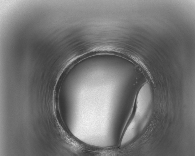 X0000059250984200510211624