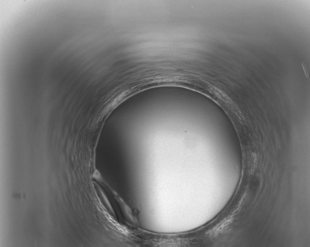 X0000059250985200510211624