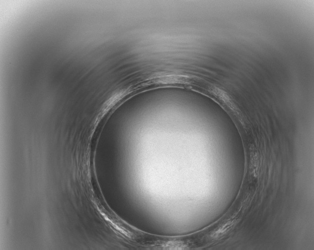 X0000059250986200510211624