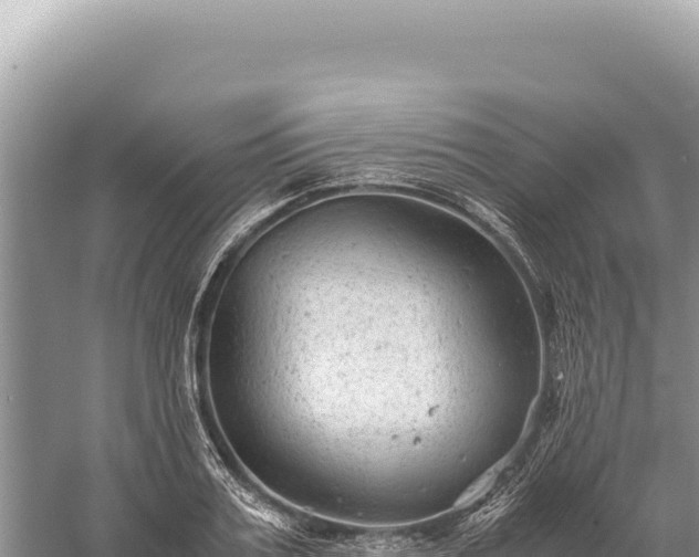 X0000059250987200510211624