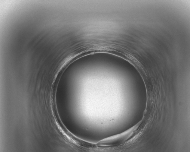 X0000059250989200510211624