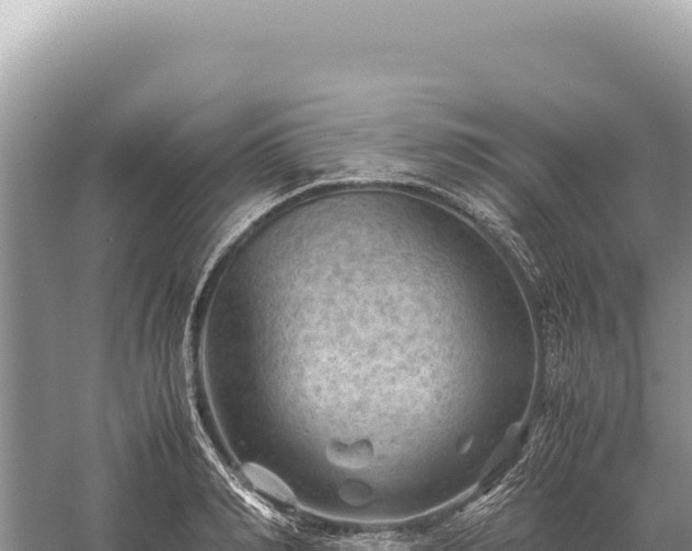 X0000059250990200510211624