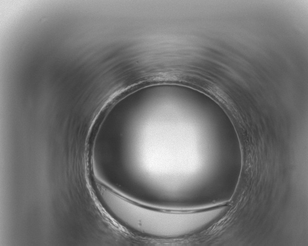 X0000059250992200510211624