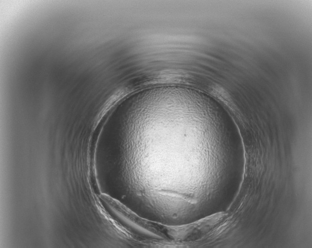 X0000059250994200510211624