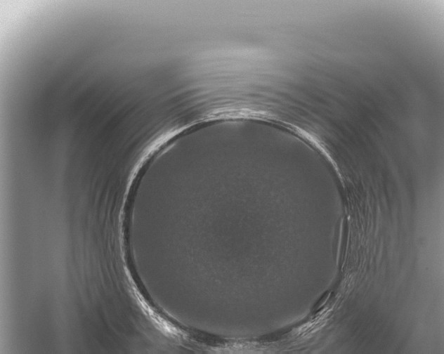 X0000059250995200510211624