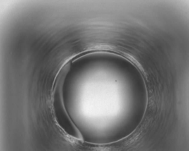 X0000059250996200510211624