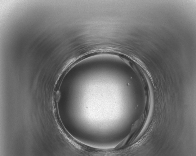 X0000059250997200510211624