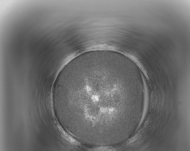 X0000059250998200510211624