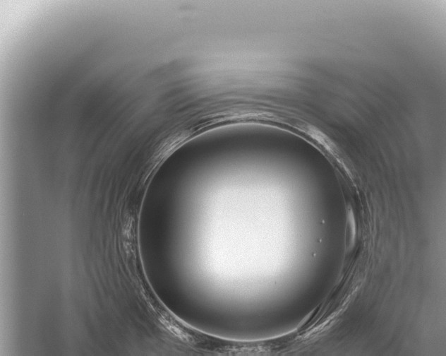 X0000059251001200510211624