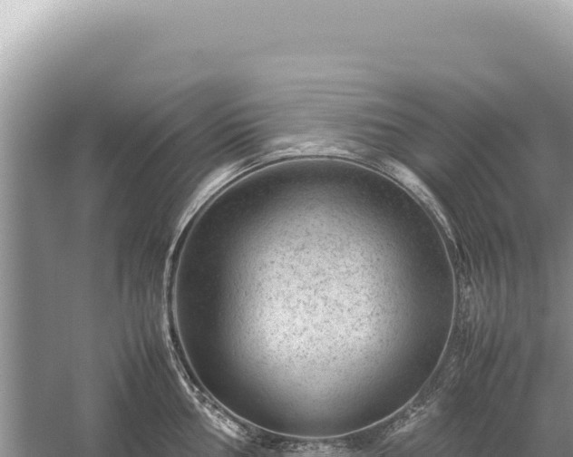 X0000059251002200510211624