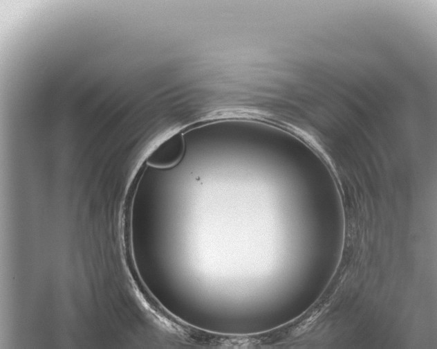 X0000059251003200510211624