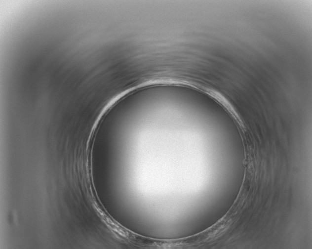 X0000059251004200510211624