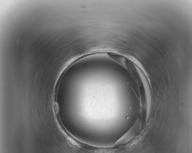 X0000059251005200510211624