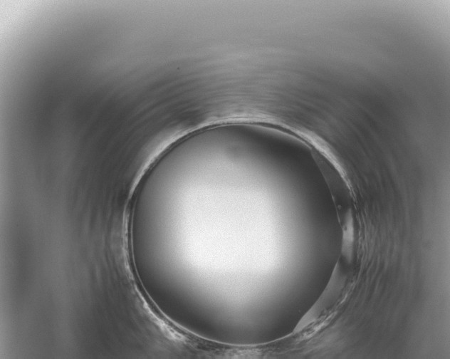 X0000059251006200510211624