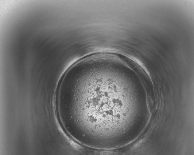 X0000059251007200510211624