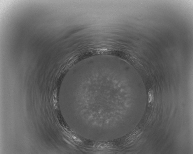 X0000059251011200510211623