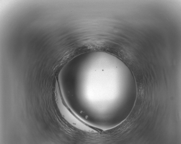 X0000059251012200510211623