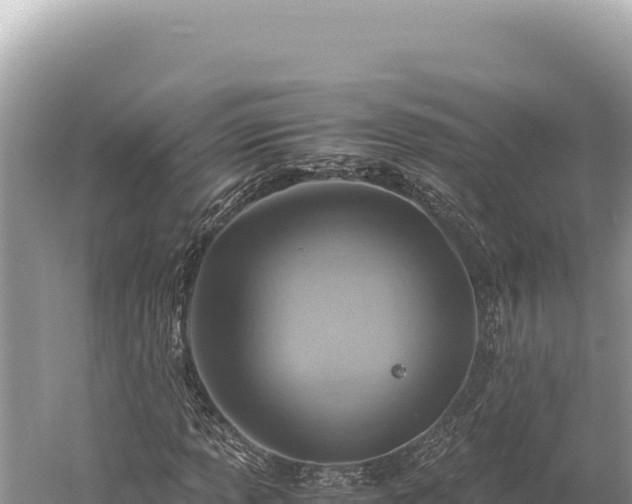 X0000059251013200510211623