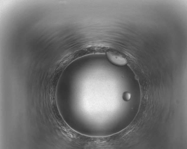 X0000059251014200510211623