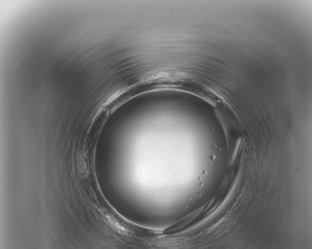 X0000059251018200510211623