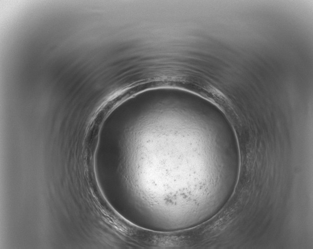 X0000059251019200510211623