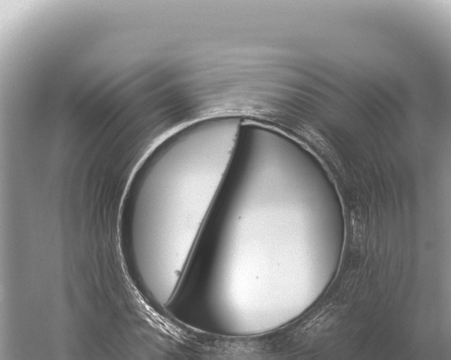 X0000059251020200510211623