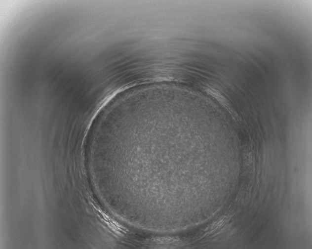 X0000059251023200510211623