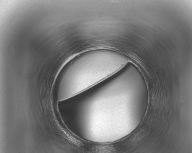 X0000059251024200510211623