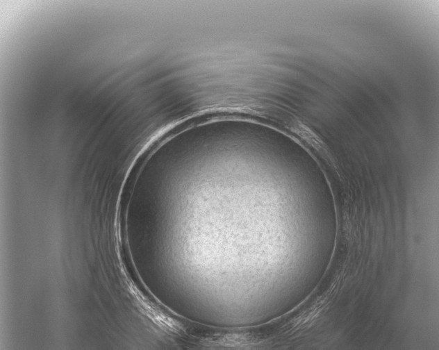 X0000059251028200510211623