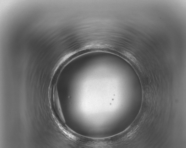 X0000059251030200510211623