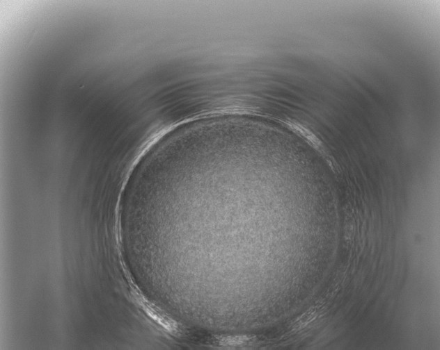 X0000059251031200510211623