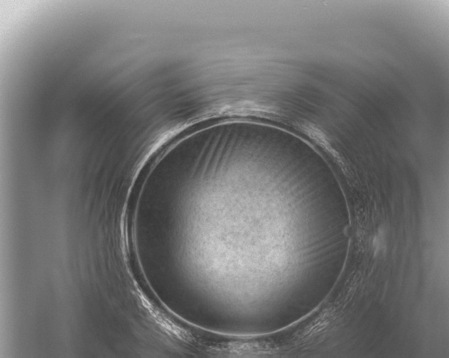 X0000059251032200510211623