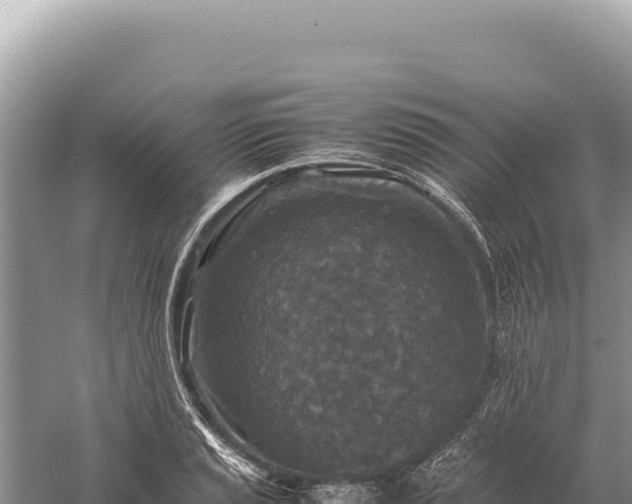 X0000059251037200510211623