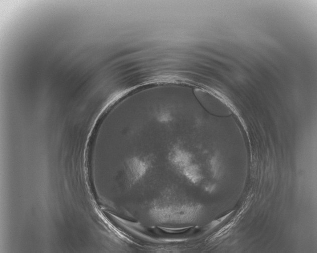 X0000059251045200510211623