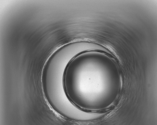 X0000059251046200510211624