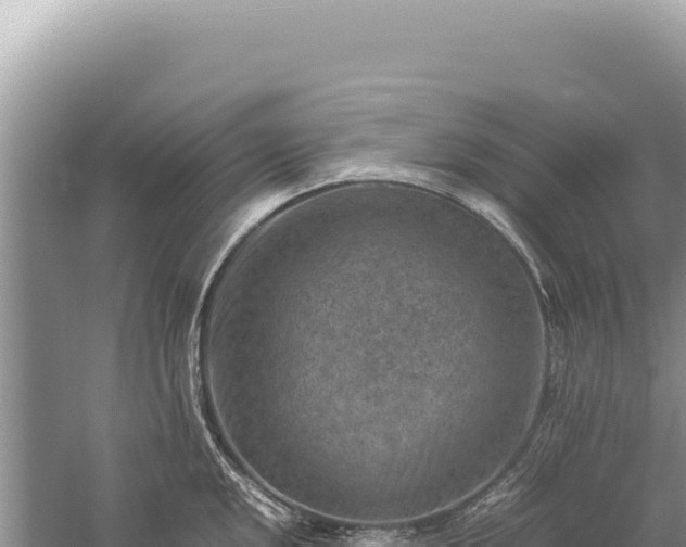 X0000059251048200510211624