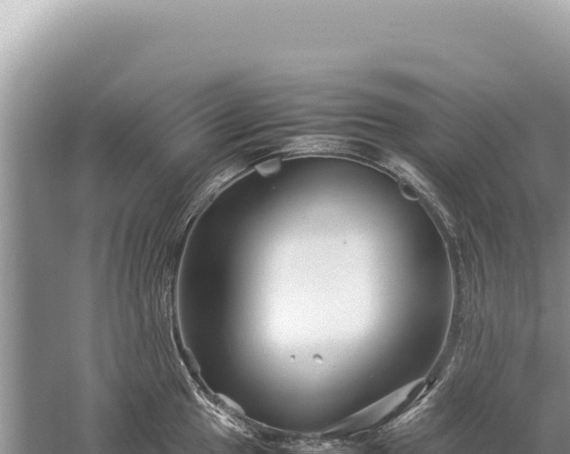 X0000059251049200510211624