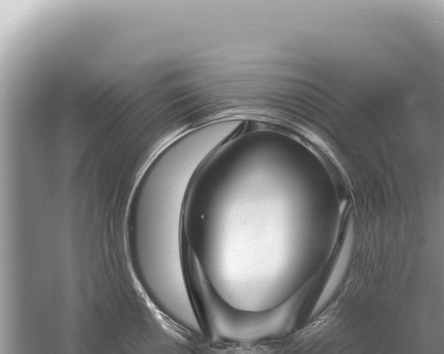 X0000059251050200510211624