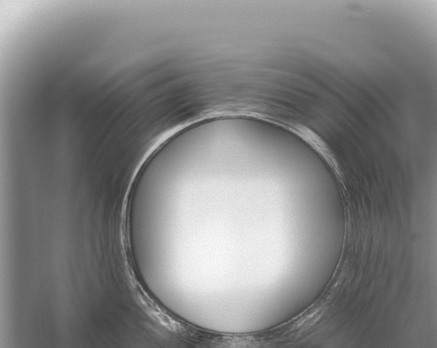 X0000059251052200510211624