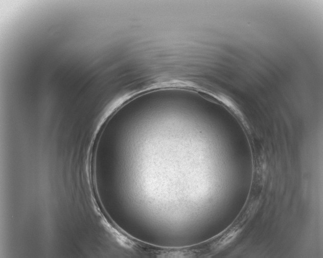 X0000059251054200510211624